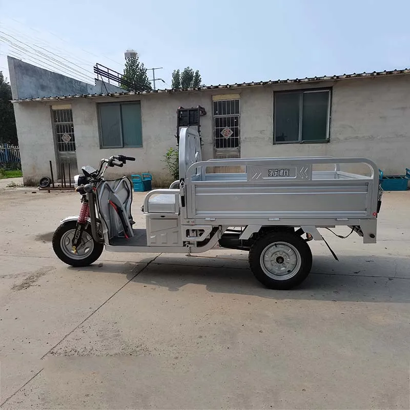 Electric-Tricycle-Price Hot Selling 3-Wheel Open Electric Vehicle Tricycles Motorcycle Carry Cargo Truck Ce 1000 Watts