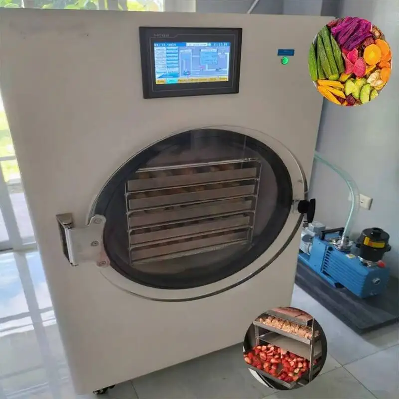Secador de Vegetales Industrial y Doméstico, Proveedor de Secadores por Congelación al Vacío para Alimentos y Frutas de 1-8 Kg en China