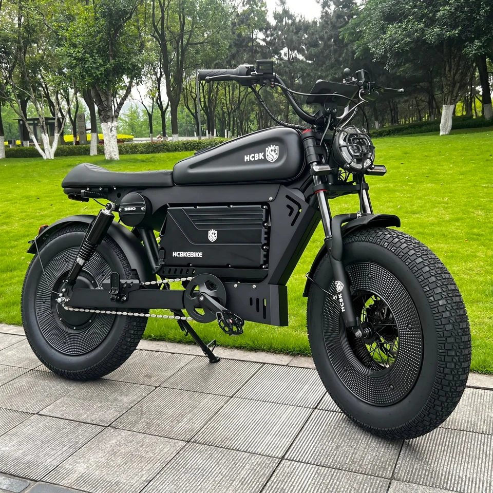 2025 New  SS10 Warrior Electric Bike  20 Inch Fat Tyre Electric Bike Mountain Snow City Electric Bike image 3