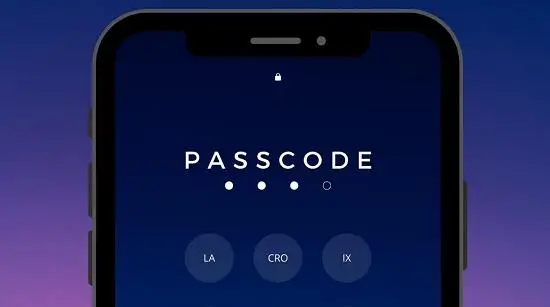 2020 Passcode by Adrian Lacroix  - magic tricks