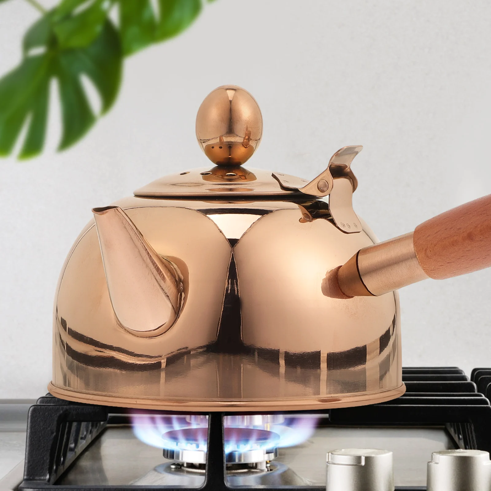 

500Ml Stainless Steel Teapot Kettle with Wooden Side Handle Heat Insulated Stovetop Tea Kettle for Household Brewing Coffee Or