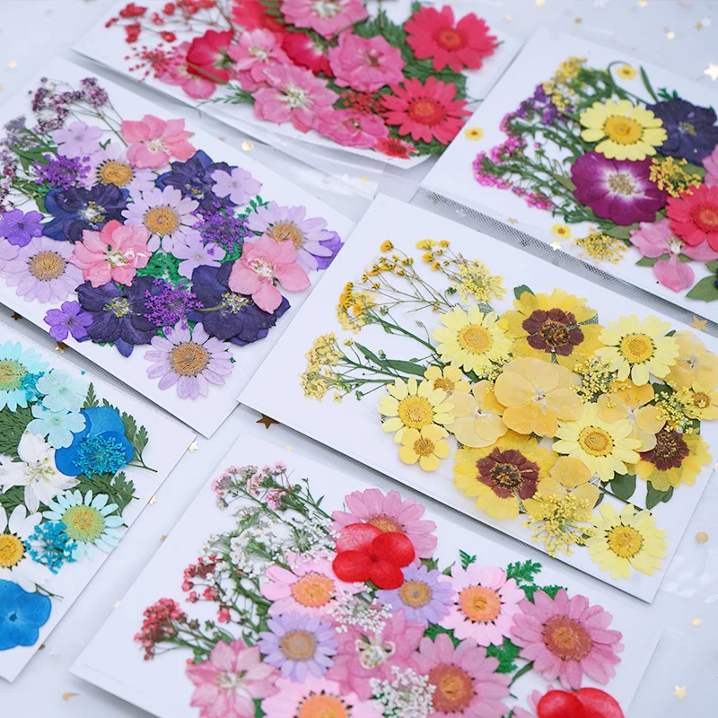 2022 Dried Flower Embossing Material Kits Bookmarks Real Leaves Plants Specimens Drip Glue Phone Cases Hand Stickers Face Makeup