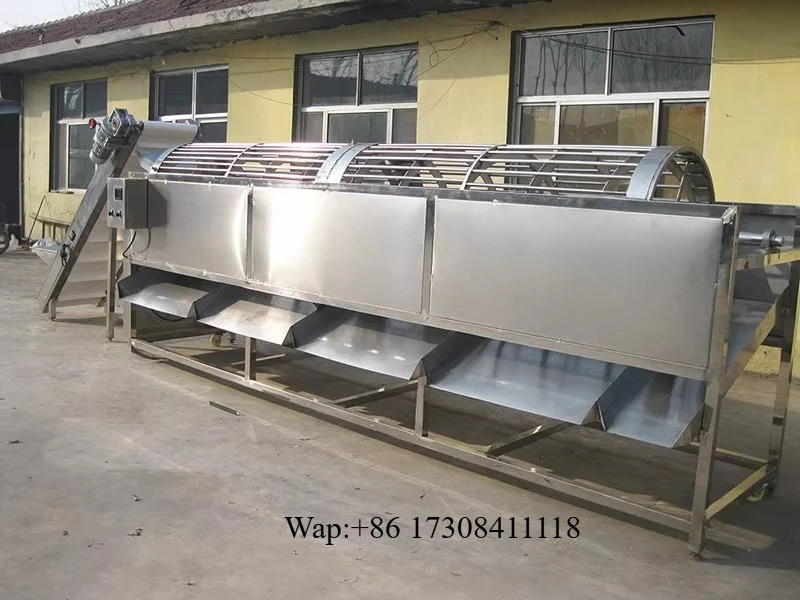 Citrus Calibrator Mango Fruit Grading Machine