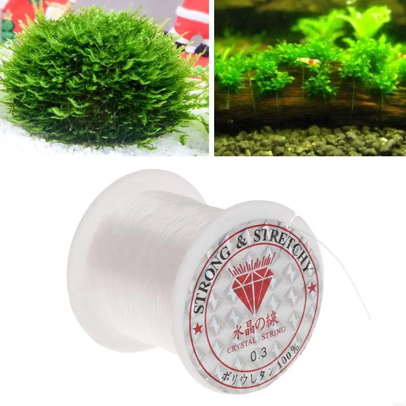 H9EC 100M 0.3Mm Kristal Garis Lumut untuk Akuarium untuk Tangki Air Tanaman Rumput Kayu Apung Aksesori Lansekap