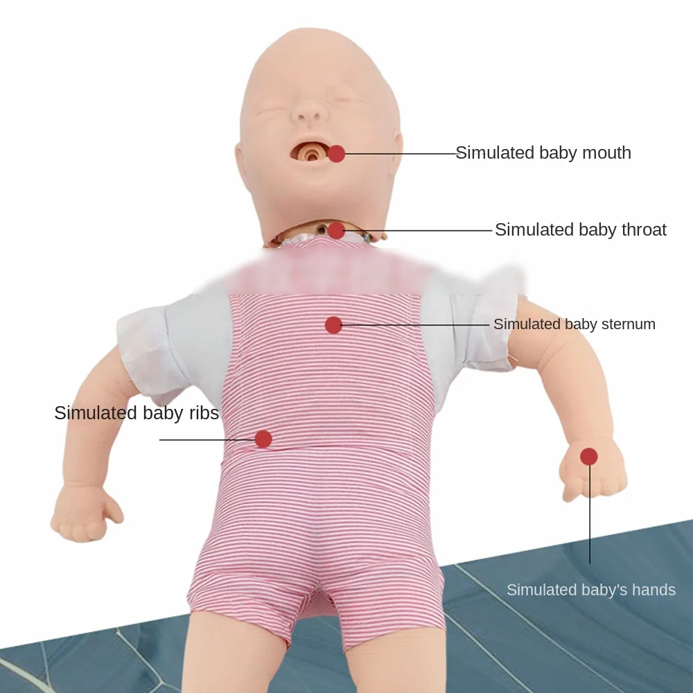 Imagem -05 - Infant Airway Obstruction Training Manequim Modelo Infantil do Bebê Ferramenta de Ensino Médico Heimlich Rcp