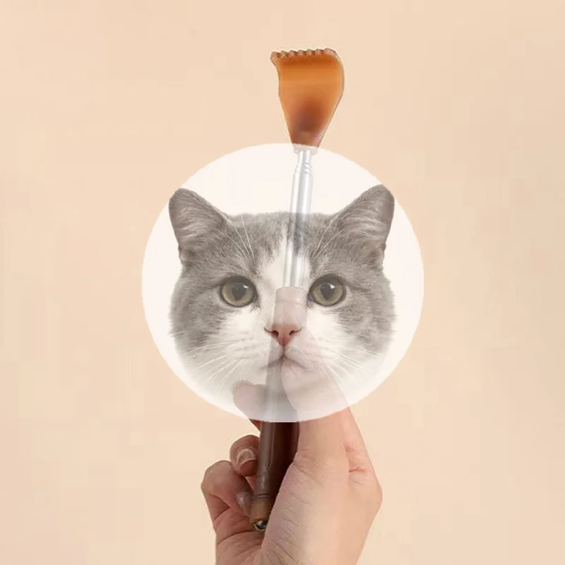 

Back Extendable Scratcher Stainless Steel Telescopic Massager Extendable Telescoping Anti-itch Tool Relax Back Claw