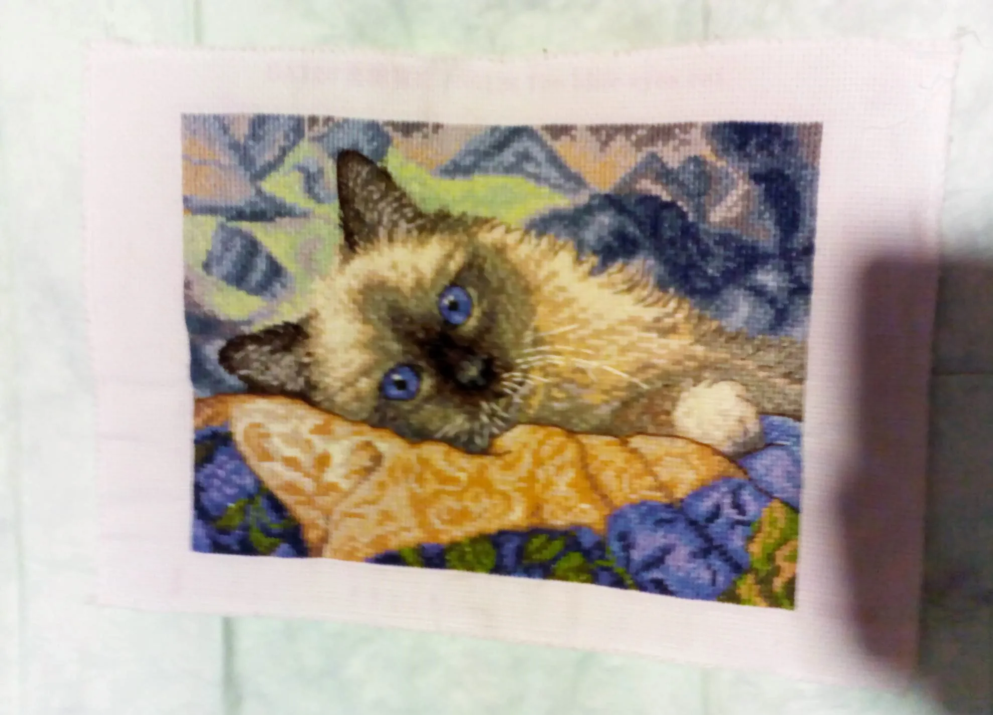 The blue eyes cat cross stitch kit aida 14ct 18ct count canvas stitches embroidery DIY handmade needlework