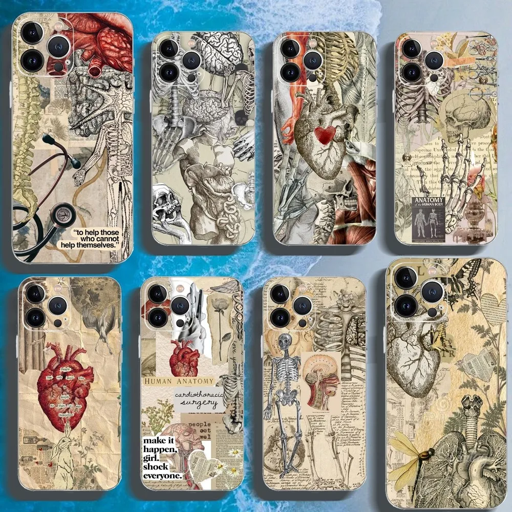 

Medical Human Anatomy Phone Case For Iphone 16 15 11 13 14 Pro Max 7 8 Plus X Xr Xs Max Se2020 12mini Transparent Cover