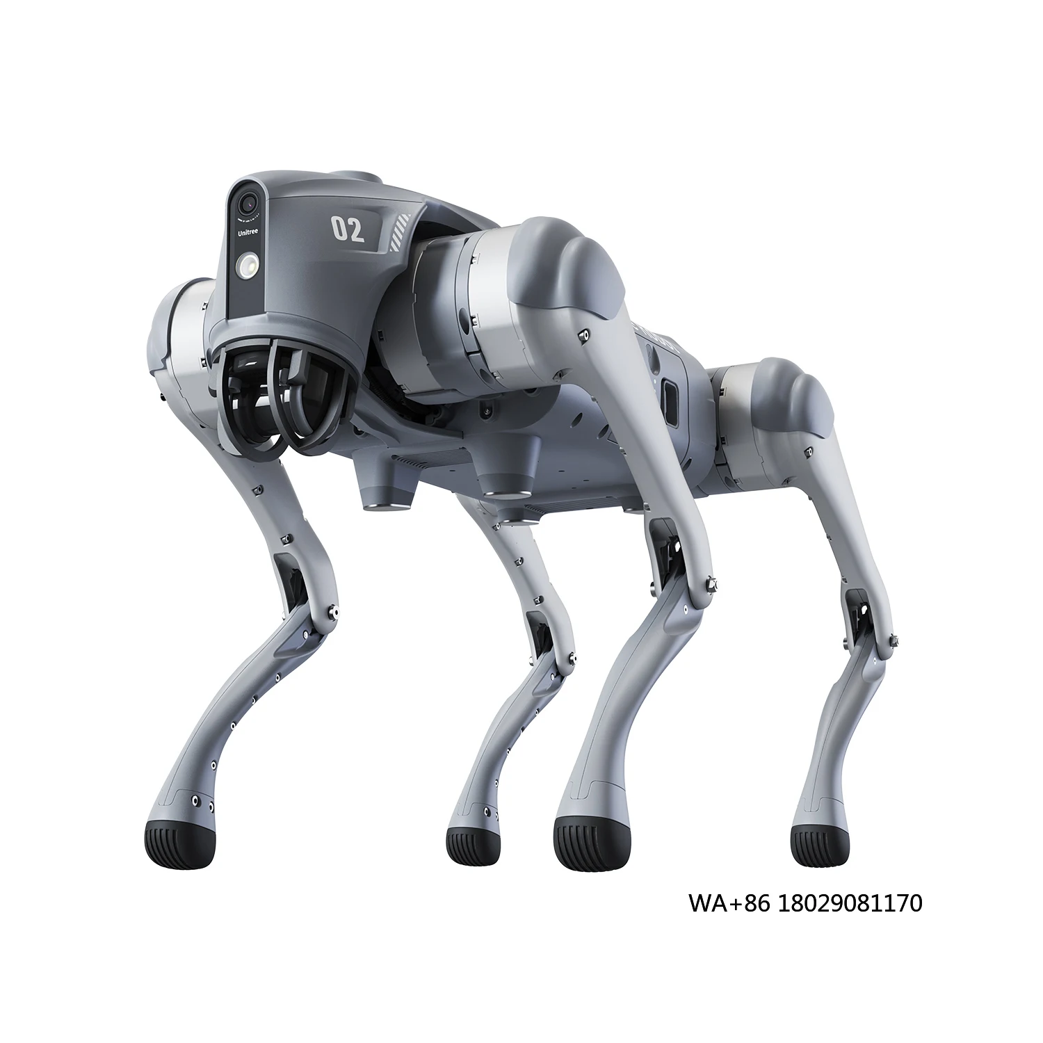 Robot programmable à quatre pattes pour l'éducation et le développement Unitree Go2 Edu Robot chien Intelligent