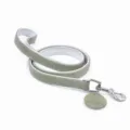 1.2M gray leash