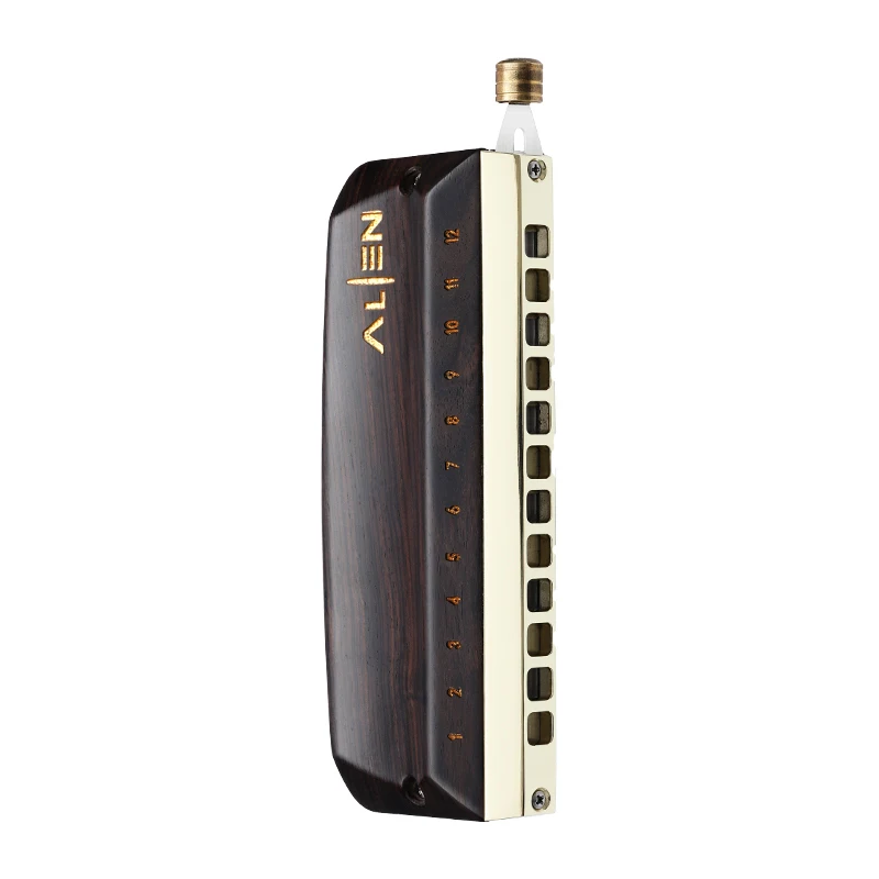 Professional 12-Hole Chromatic Harmonica for Adults for Performances and Musical Instrument Use