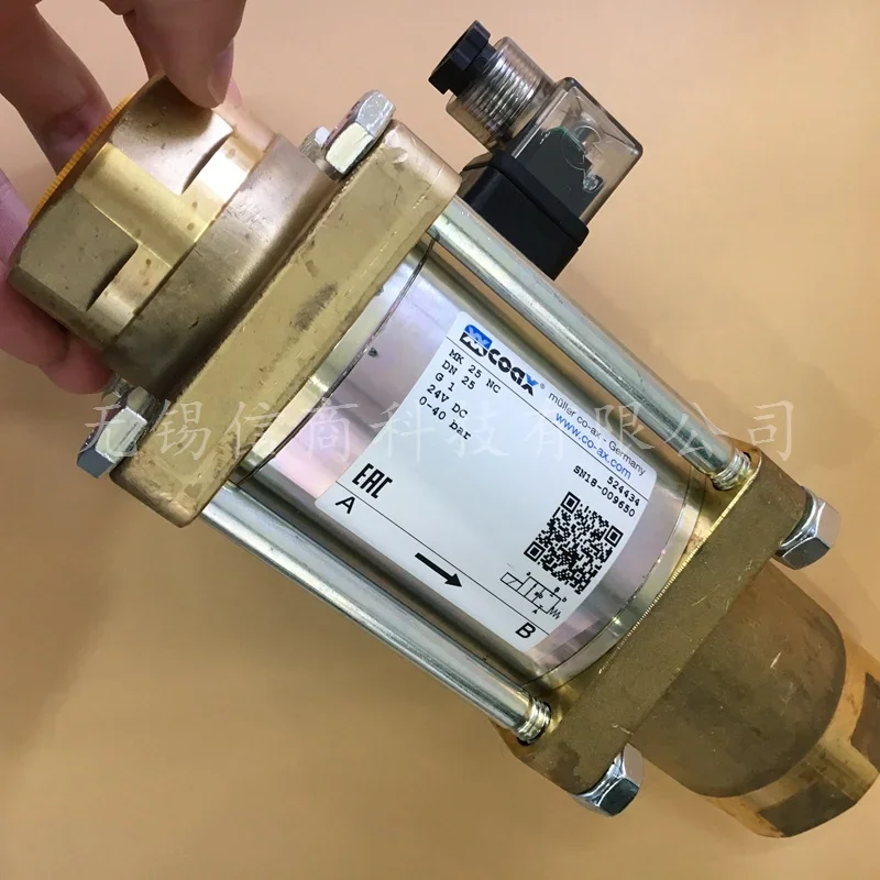 2025 Netherlands Be… - image