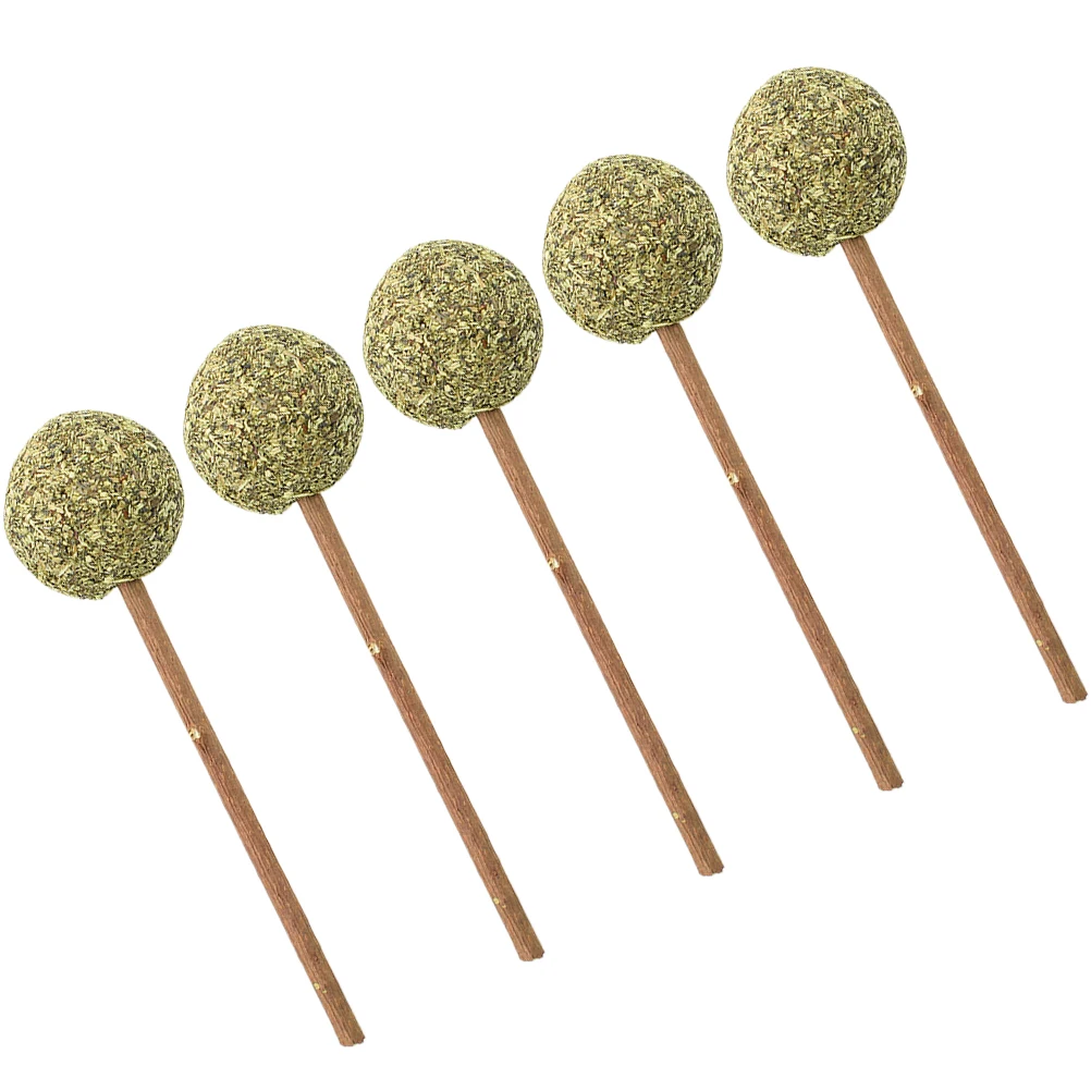 

5PCS Catnip Lollipop Safe Cat Toy Molar Teeth Bar Dental Health Mint Ball Training Small Medium Cats Chew Play