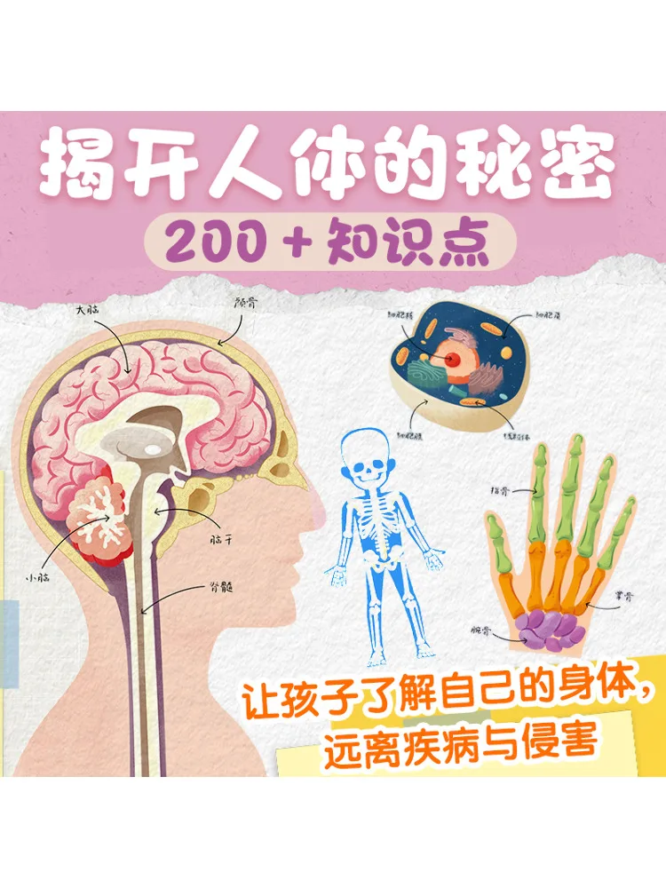 

Книга-Winshare Wow What an Amazing Human Body