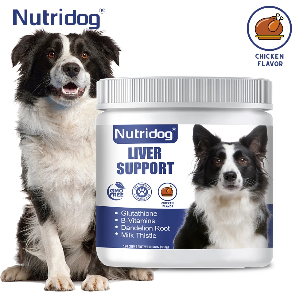 

NUTRIDOG Поддержка печени для собак, жевания, растоп, куркумин, ливы, детокс, почки, гематическая поддержка, вкус курицы, 120 шт./бутылка