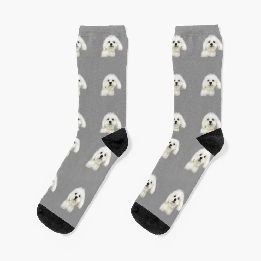 

Maltese puppy Socks tennis gifts Ladies Socks Men's