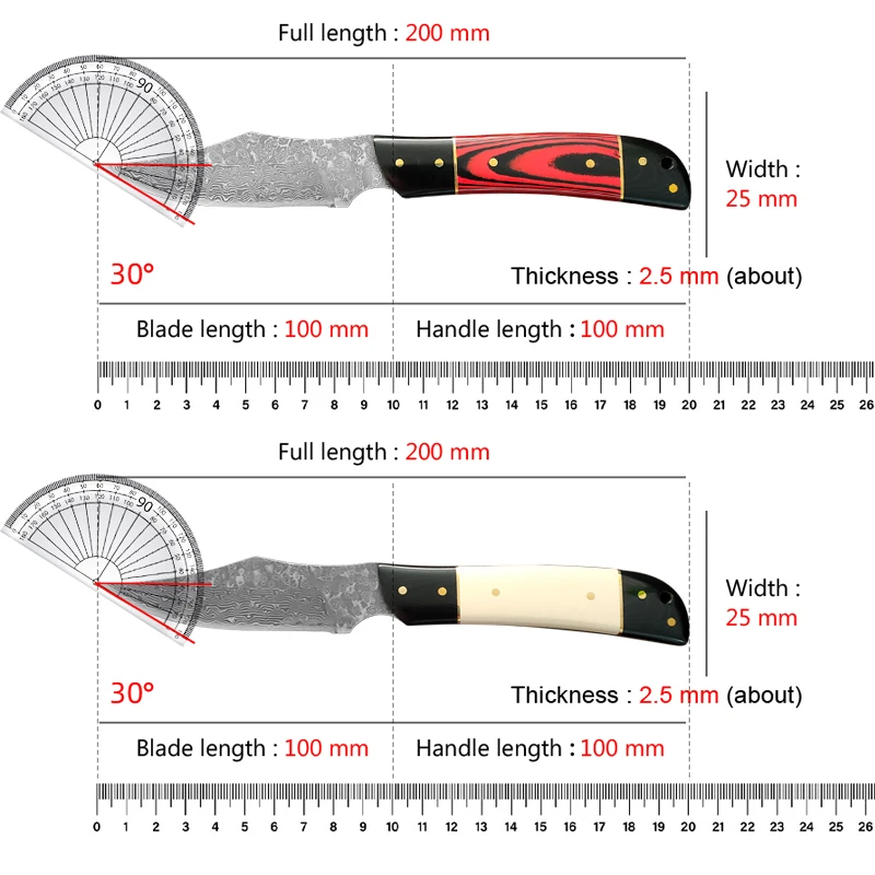 Japanese Hand Forged Chef Knife VG10 Damascus Steel Razor Sharp Professional Kitchen Knife for Meat Fish and Vegetable Slicing