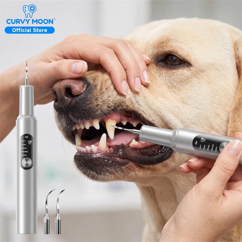 Dog Plaque Tartar Remover for Teeth Cleaning Kit Electric Toothbrush with LED Light 5 Adjustable Modes Safe Dog Dental Care Tool