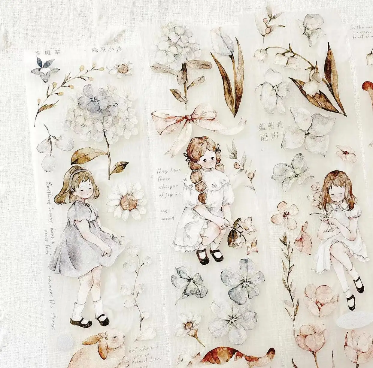 1 حلقة النمش الشاي المجلد 3 فتاة الغابات الصيف المطر الوقت الأزهار اشي PET الشريط مخطط DIY بها بنفسك سكرابوكينغ خطة الزخرفية ملصق