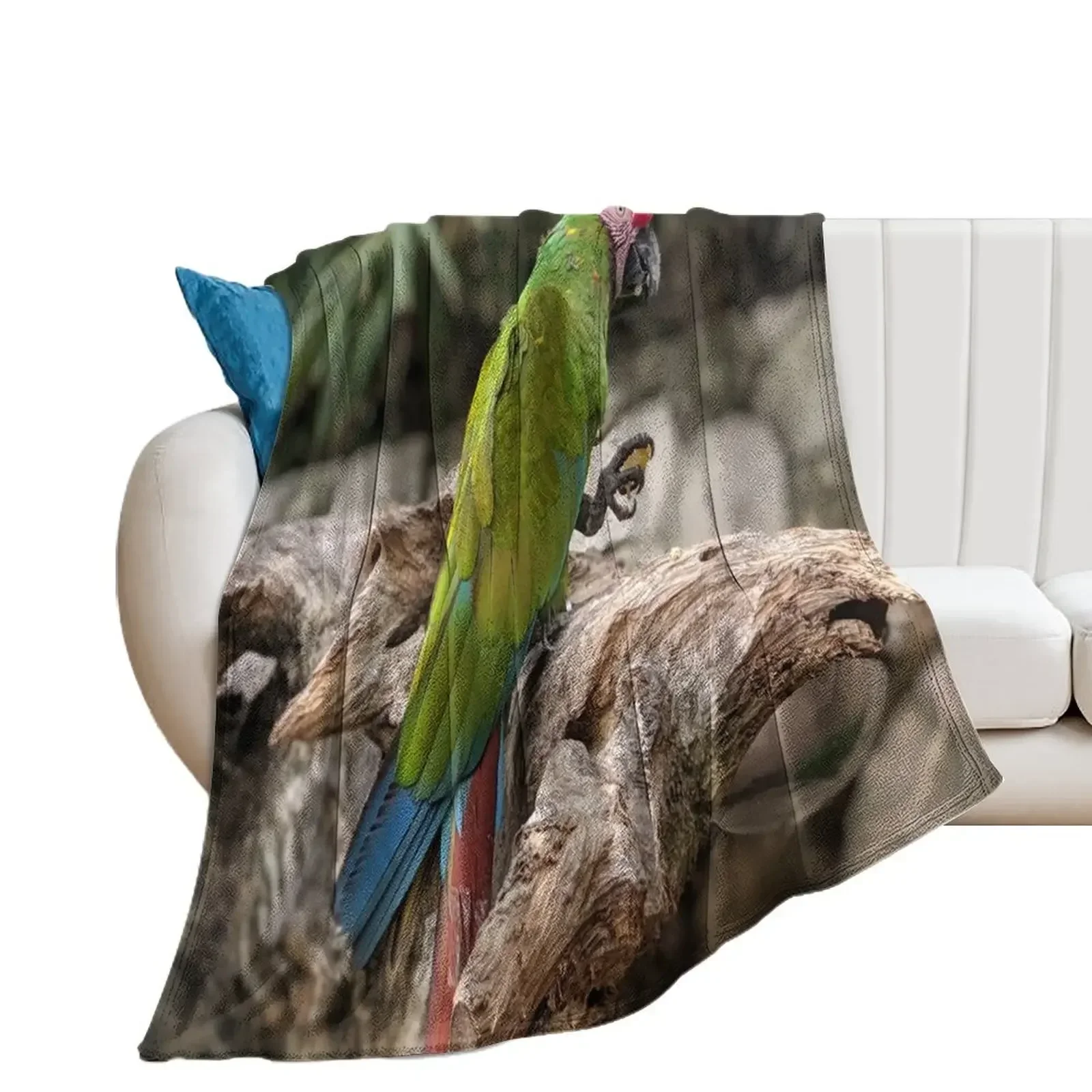 

Great Green Macaw Throw Blanket manga Nap Fashion Sofas Blankets For Baby Blankets