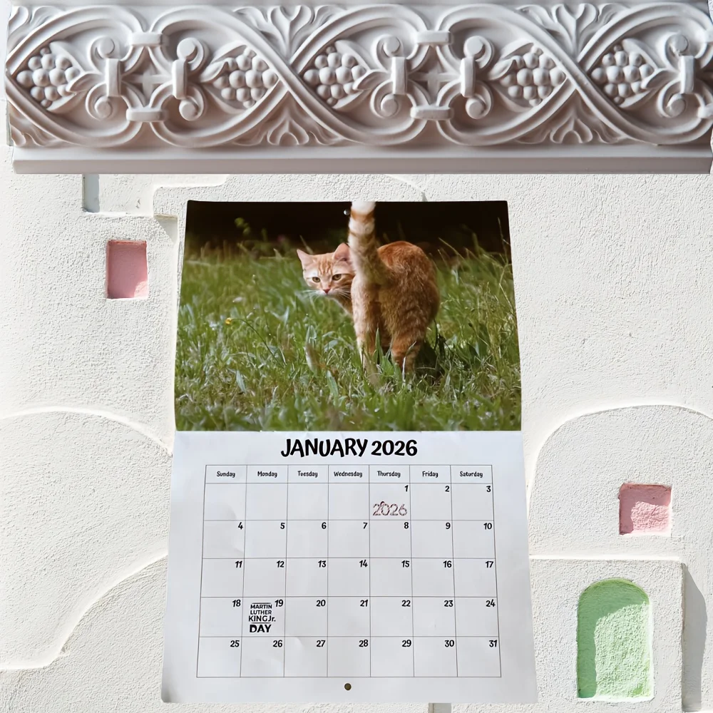 

Cat-Themed Wall Calendar 2026: A Must-Have for Cat Lovers, Perfect Wall Decoration