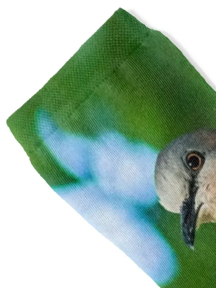 Spotted Dove Socks winter thermal anime New year's Stockings man Men's Socks Women's