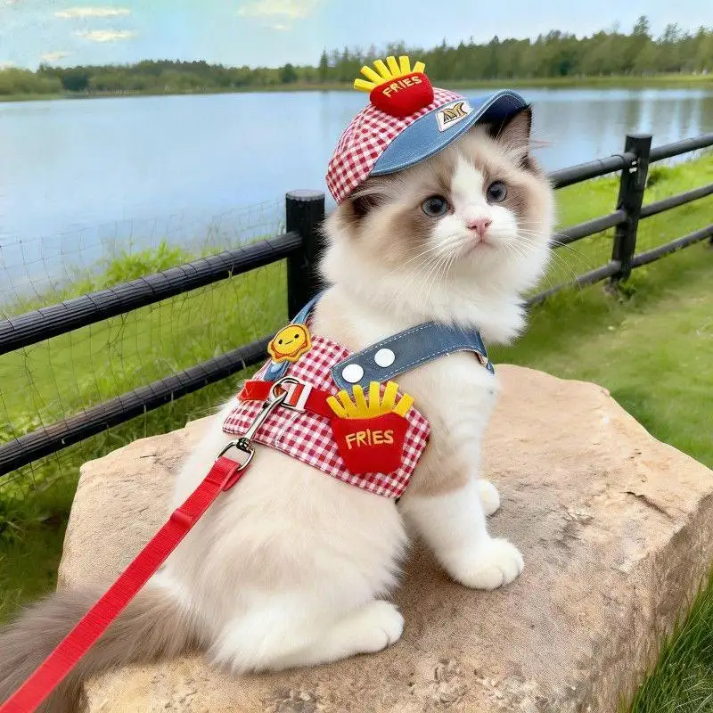 Cute Pet Harness Leash & Sun Hat Set 2