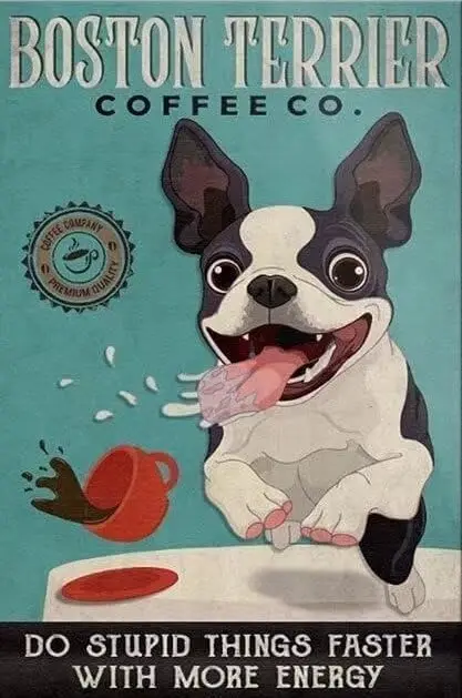 Boston Terrier 500 Pieces Wooden Jigsaw Puzzles for Adults- Boston Terrier Dog Coffee Co. Suitable for All Puzzle Toy Enthusiast