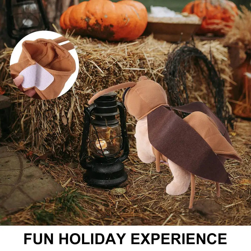 Disfraz de cucaracha de gato transpirable, traje de Cosplay de perro ajustable realista, alas y antena decorativas de cucaracha