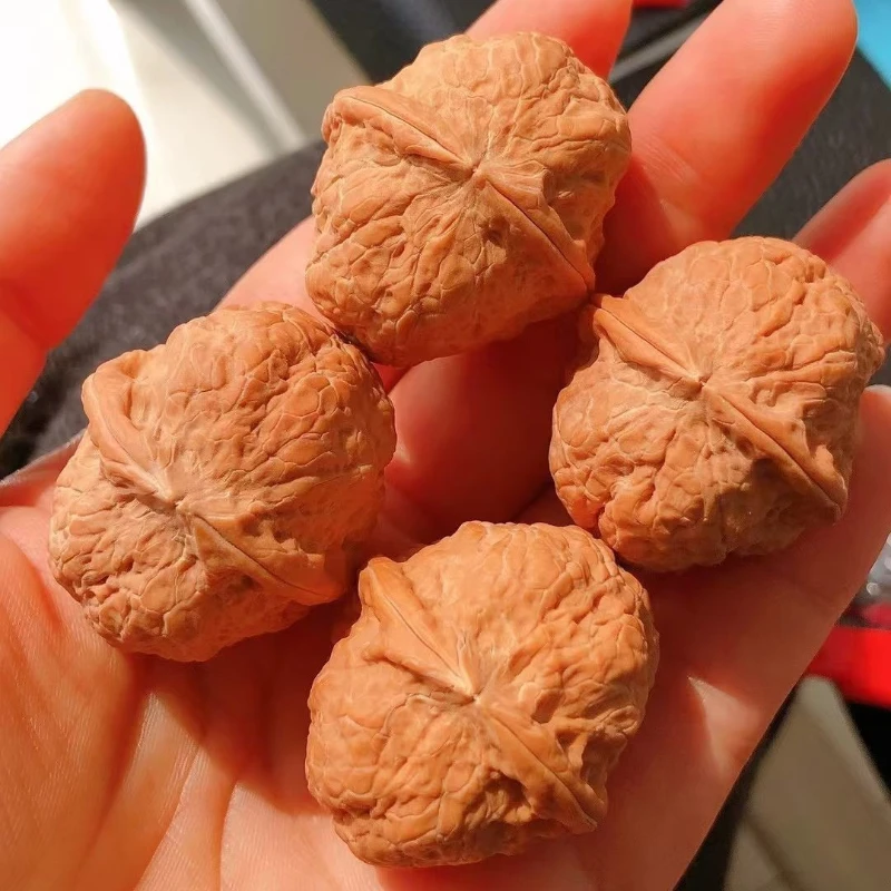 Natural Original Skin Toad Head Iron Walnuts Premium Collectible Wenwan Hand Play Massage for Stress Relief Home Decor Rare Gift