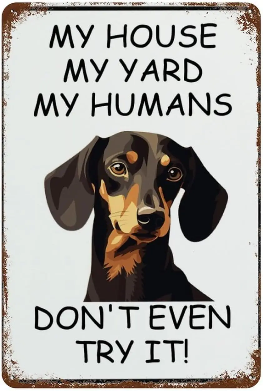 Fun Vintage Tin signage Dachshund My House My Yard My Humans Pet Dog Vintage Metal Tin signage Vintage Aluminum signage for home