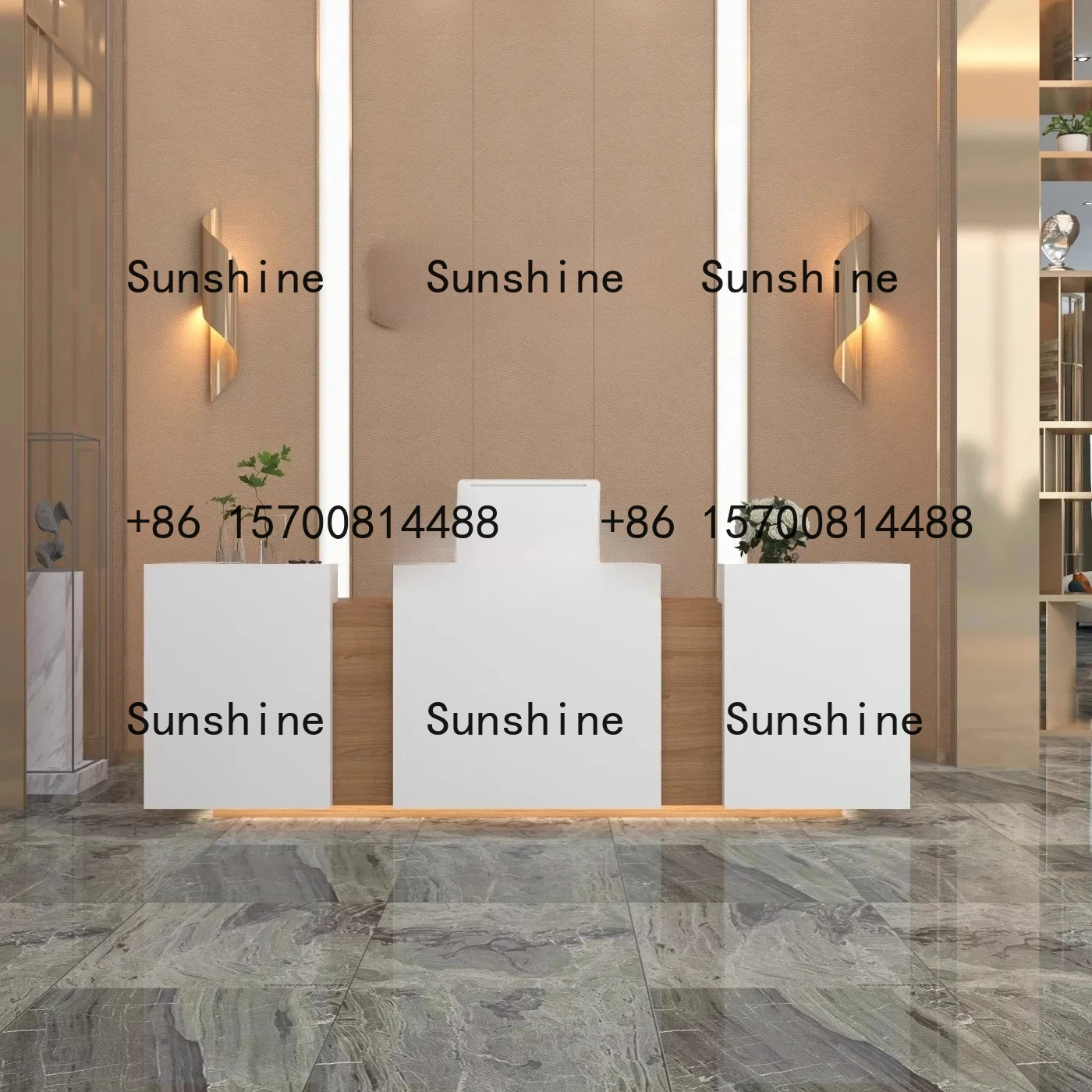 

TS Salon Modern Light Luxury Cashier Counter Clothing Store Counter Company Reception Desk