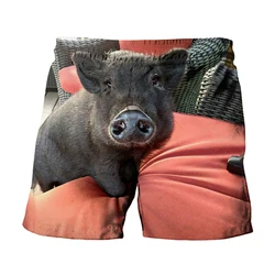 New Summer Men's Shorts Pig 3D Printed Beach Shorts Pants Casual Elastic Waist Board Shorts Swimming Trunks Hombre Beach Pants