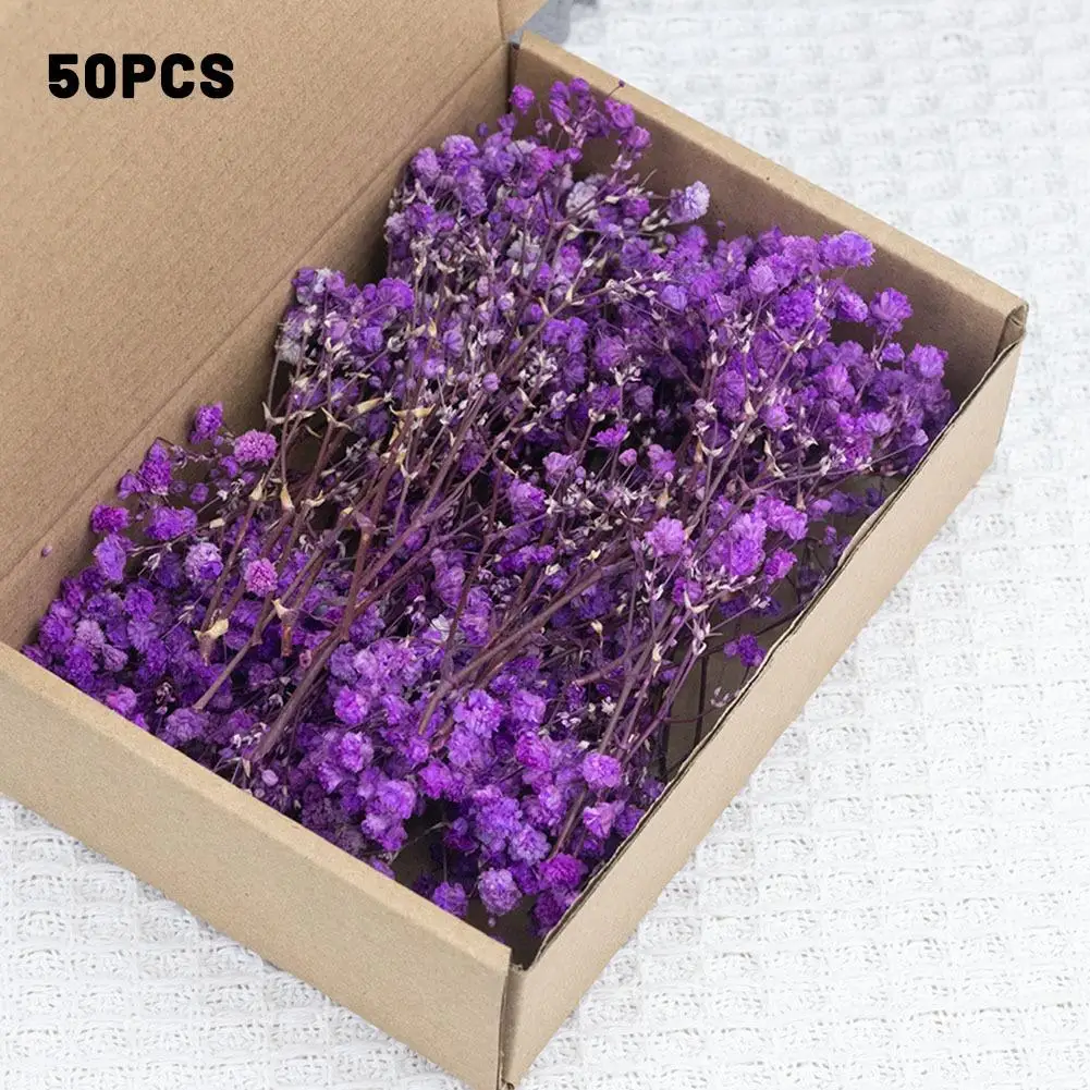 Buquê de flores secas em 9 cores, arranjo floral gypsophila, decoração de festa de casamento, vaso diy, pacote pequeno, presentes decorativos, 2025