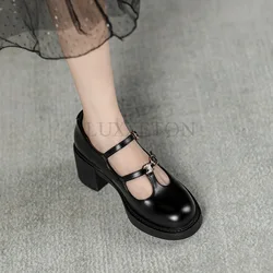 Shoes for Women Fashion Buckle Women's Pumps Autumn Mary Jane Round Toe Shallow High Heel Pump Female Dress Chunky Heels