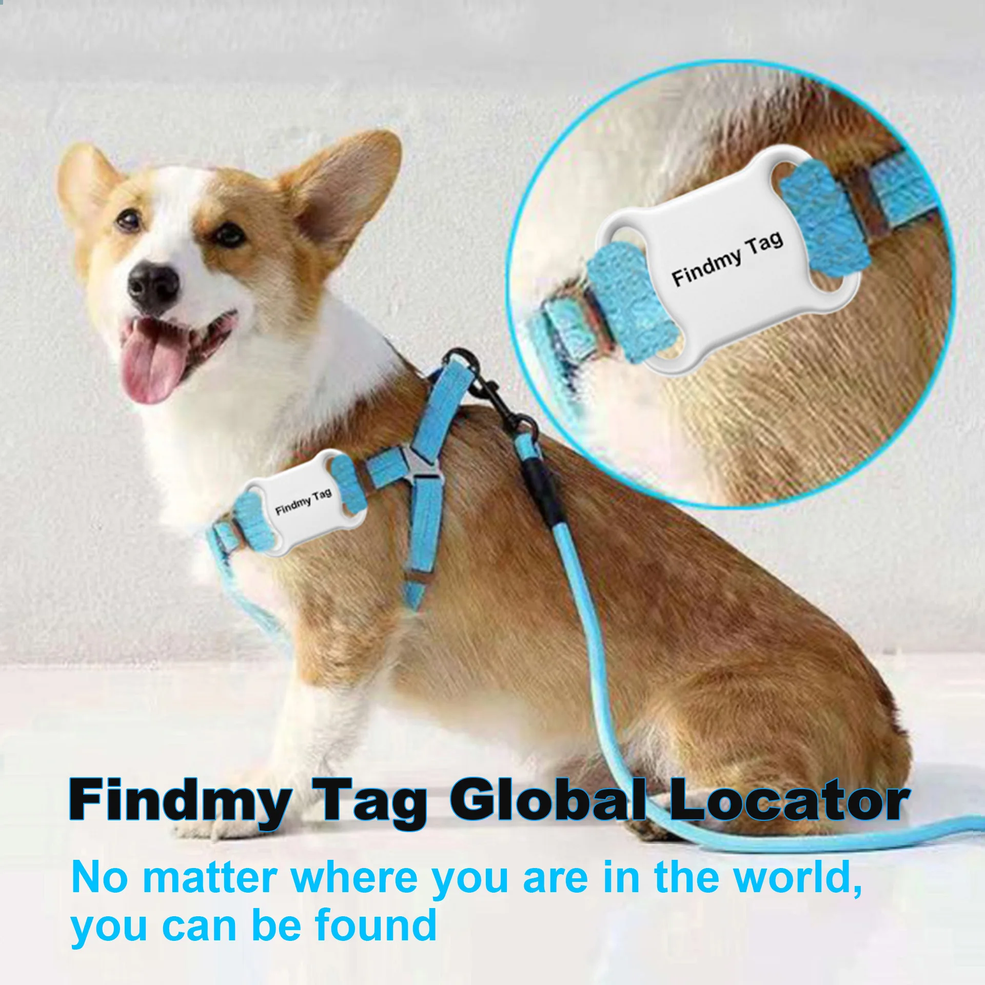 findmy-tag-猫と犬の追跡位置特定アーティファクト用のグローバル-ペット-ロケーター