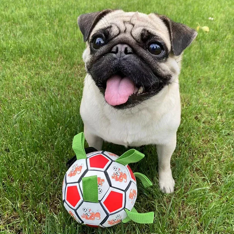 KOMMILIFE Interactive Football Toy For Dogs Outdoor Training Soccer Pet Dog Toys Dog Bite Chew Toy Medium Large Dog Ball Toys view 3