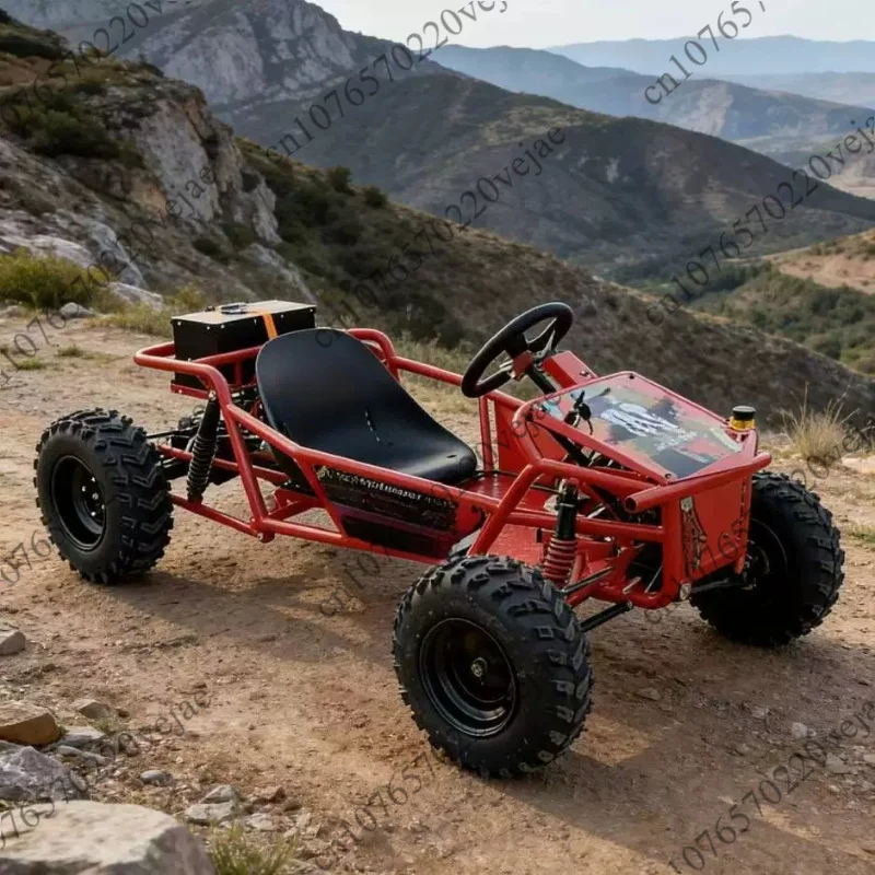 High Performance Drift Go Kart Gas Powered for Adults Kids All Terrain Off Road Beach Buggy