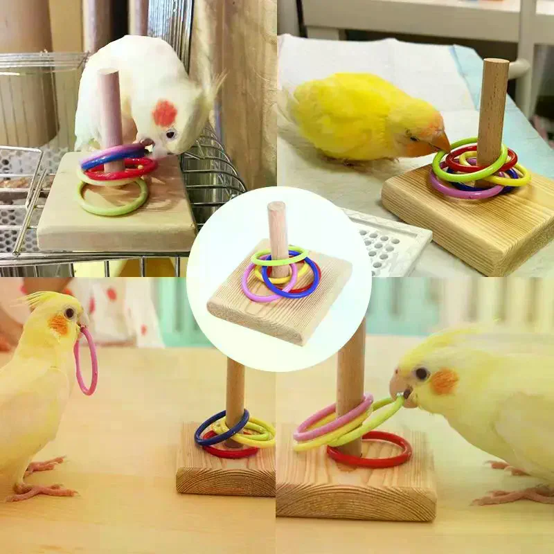 Bird Training Ring Toy Parrot Educational Learning Toy  For Bird Cage Intelligence Training Family Scene