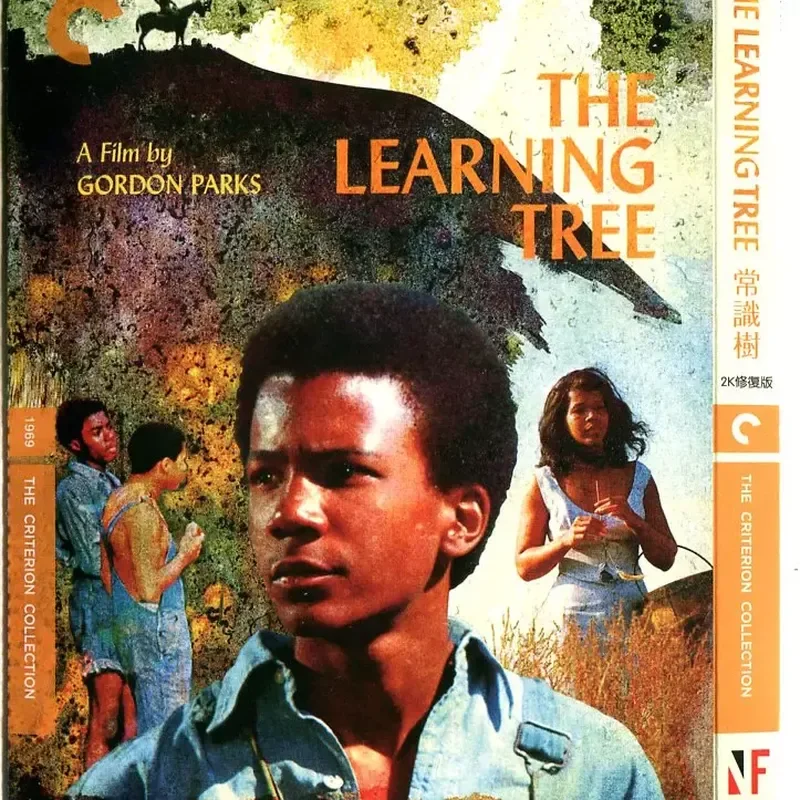 Boxed Blu-ray, Common Sense Tree, Drama