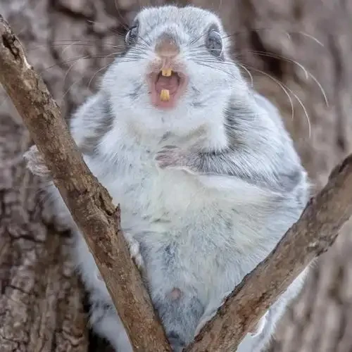 Подключаемый заполнитель зазора автомобильного сиденья, эластичный блокатор заполнения щелей автомобильного сиденья из ЭВА, предотвращает падение для Peugeot 106 107 206 208 306