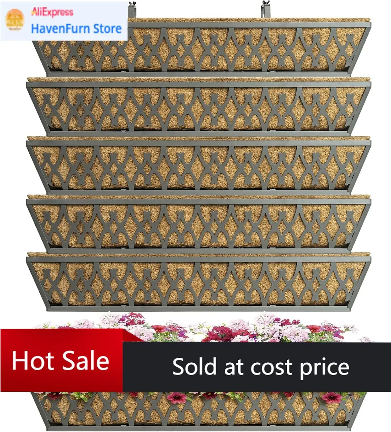 Activity Price6 Pac…