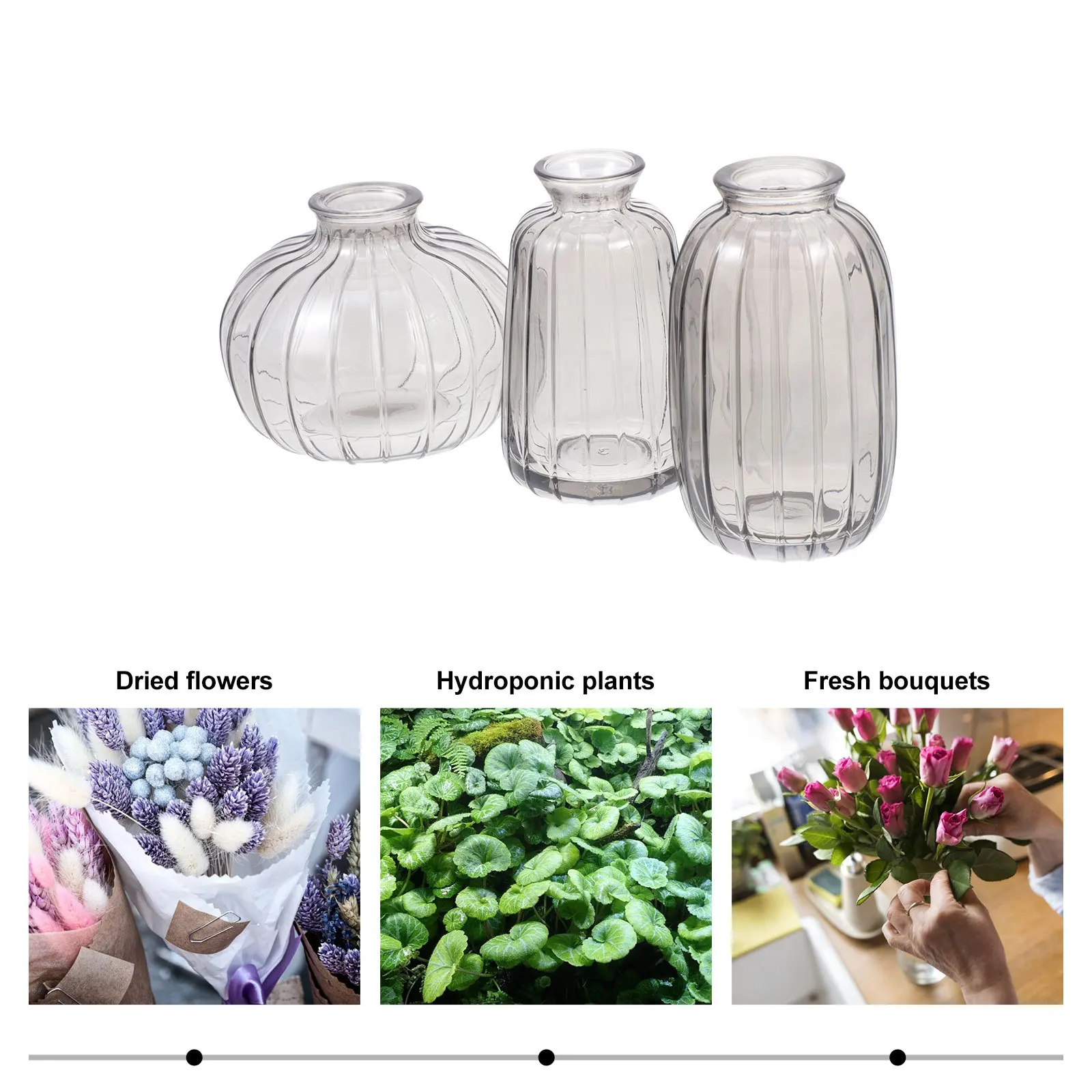 

3Pcs Modern Flower Dried Vase Creative Hydroponic Plants Container Desktop Glass Holder Home Office Decorative Ornament