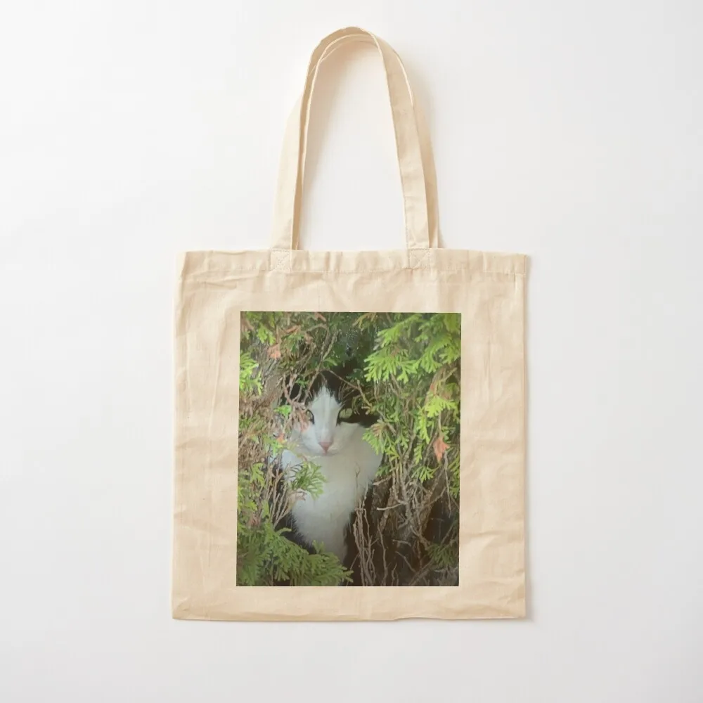 

Tuxedo Cat Hiding Tote Bag Women's shopper bag supermarket folding bag Canvas Tote