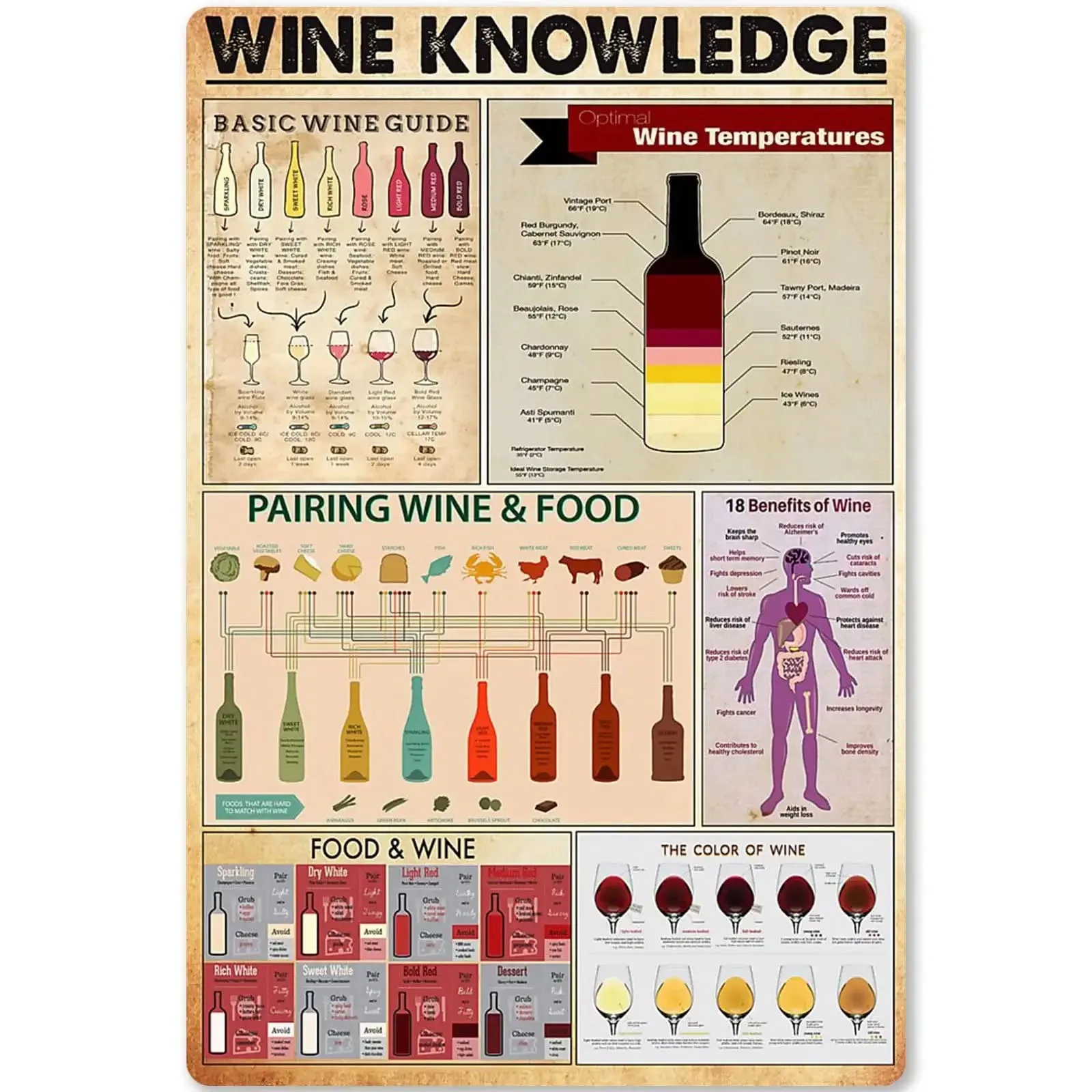 

Wine Knowledge Metal Tin Sign Basic Wine Guide Infographic Poster Home Kitchen Bar Cafe Club Decoration Plaque