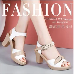 High Heel Adult Modern Sandals Buckle Strap Adult Women's Shoes on Sale 2024 New Mixed Colors Square Heel Women's Sandals