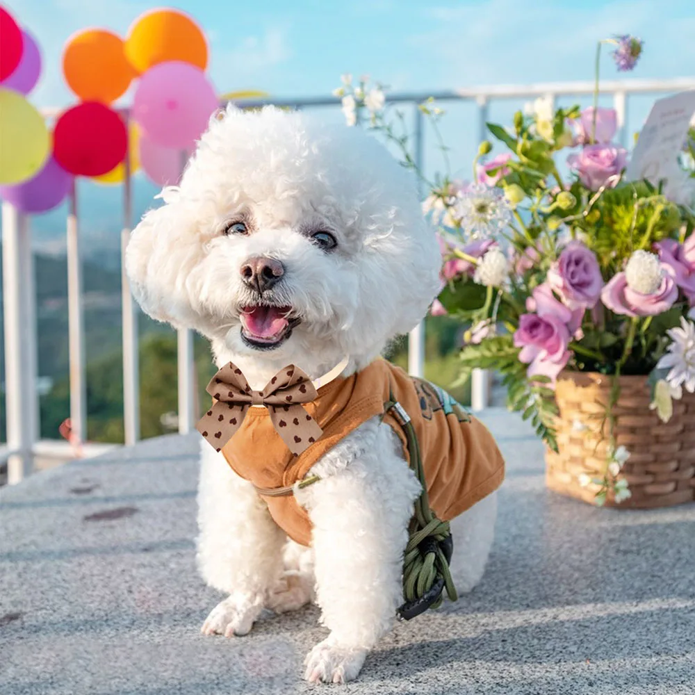 Thumbnail 3 - #39 Trending Pet Grooming Supplies Right Now