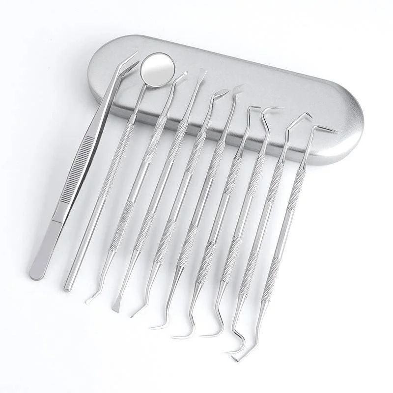 10PCS Dental Oral Care Tool Stainless Steel Professional Hygiene Cleaning Kit Tooth Scraper Plaque Tartar Remover Pick Scaler