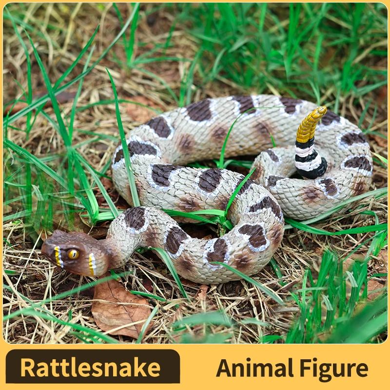 محاكاة شخصية الأفعى الجرسية نموذج الأفعى للأطفال لعبة تعليمية، تمثال عمل الحيوان، زخرفة وهدية