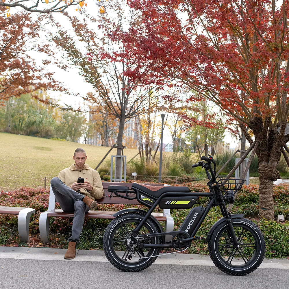 Dual Battery Aluminum Fat Tire Electric Mountain Bike 48V Off-Road E-Bike 150kg Load